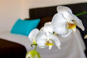 Bleu Mer Residence Сен-Сиприен Экстерьер фото